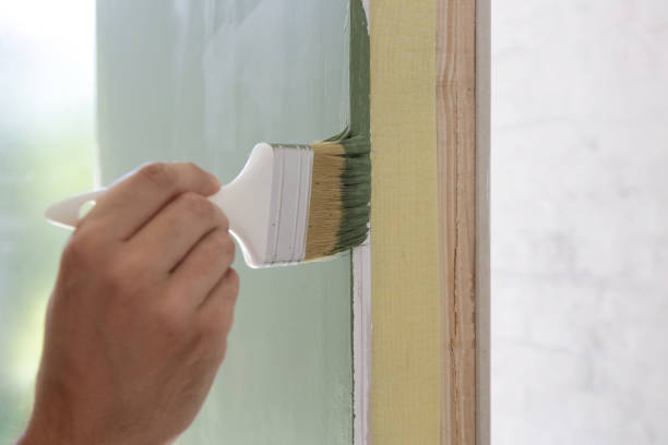 Mold Documentation for Insurance Claims in Cannon Af, NM