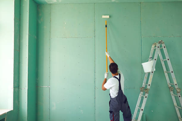 Best Mold Damage Restoration  in Cannon Af, NM