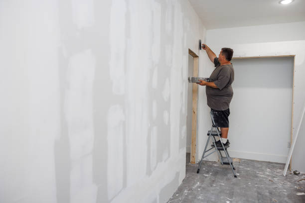 Best Mold Prevention Services  in Cannon Af, NM