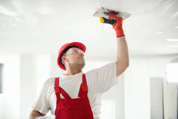 Professional Mold Removal in Cannon Af, NM