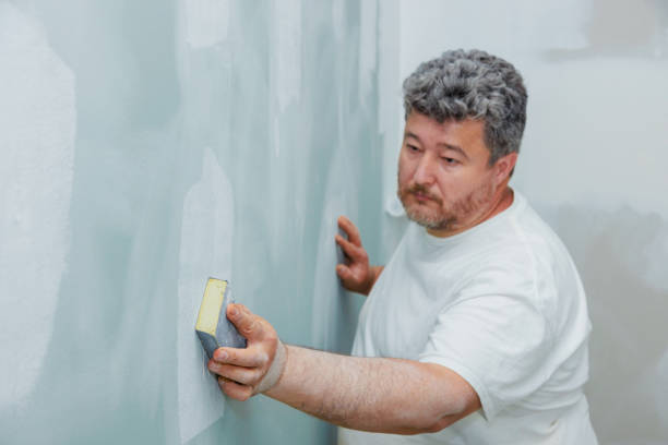 Best Dehumidification Services  in Cannon Af, NM