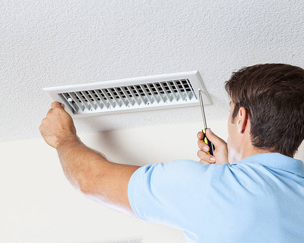 Best Mold Odor Removal Services  in Cannon Af, NM